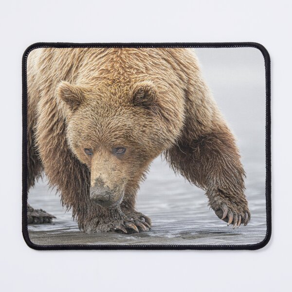 Item preview, Close Encounter with a Brown Bear Alaska designed and sold by PhotoArt by Joan Carroll.