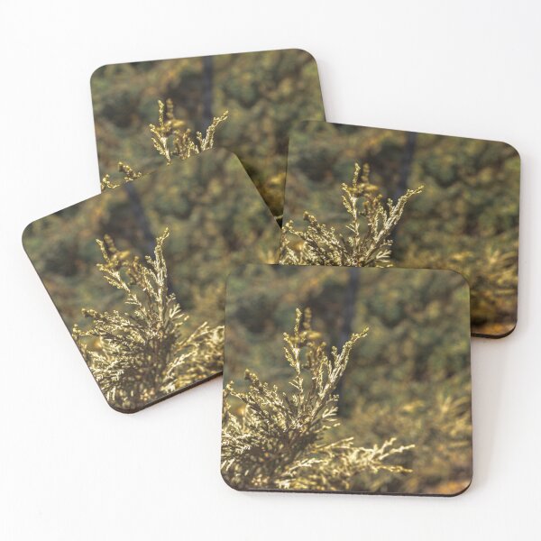 Item preview, Juniper Plant  designed and sold by Momecap.