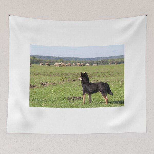 Item preview, sheepdog with herd of sheep in background designed and sold by goceris.