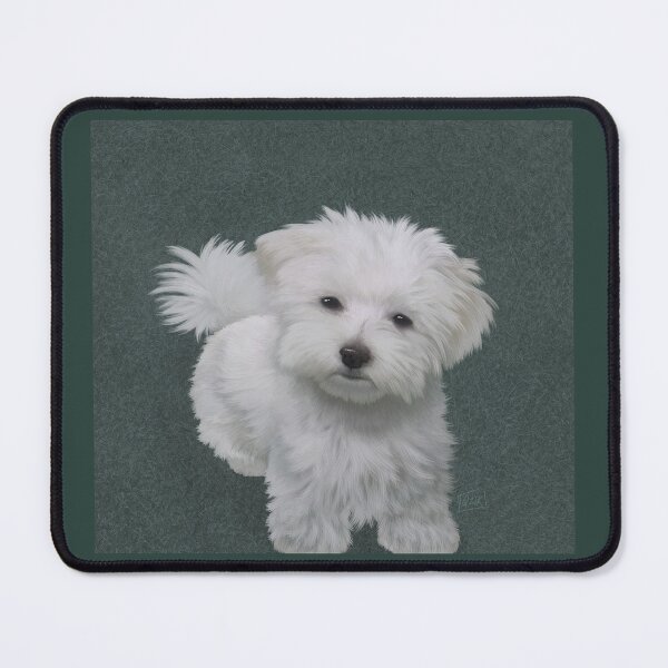 Item preview, Bundle of Energy - Maltese designed and sold by Kathy Kuczek.