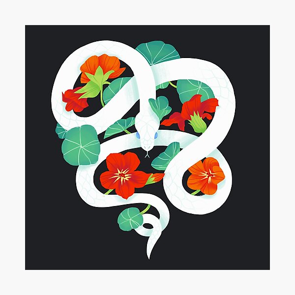 nasturtium snake Photographic Print