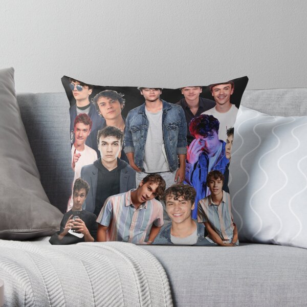 https://ih1.redbubble.net/image.5173264097.8034/throwpillow,small,600x-bg,f8f8f8-c,0,120,600,600.jpg