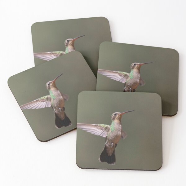 Item preview, Female Broad Billed Hummingbird designed and sold by Ruth Jolly.