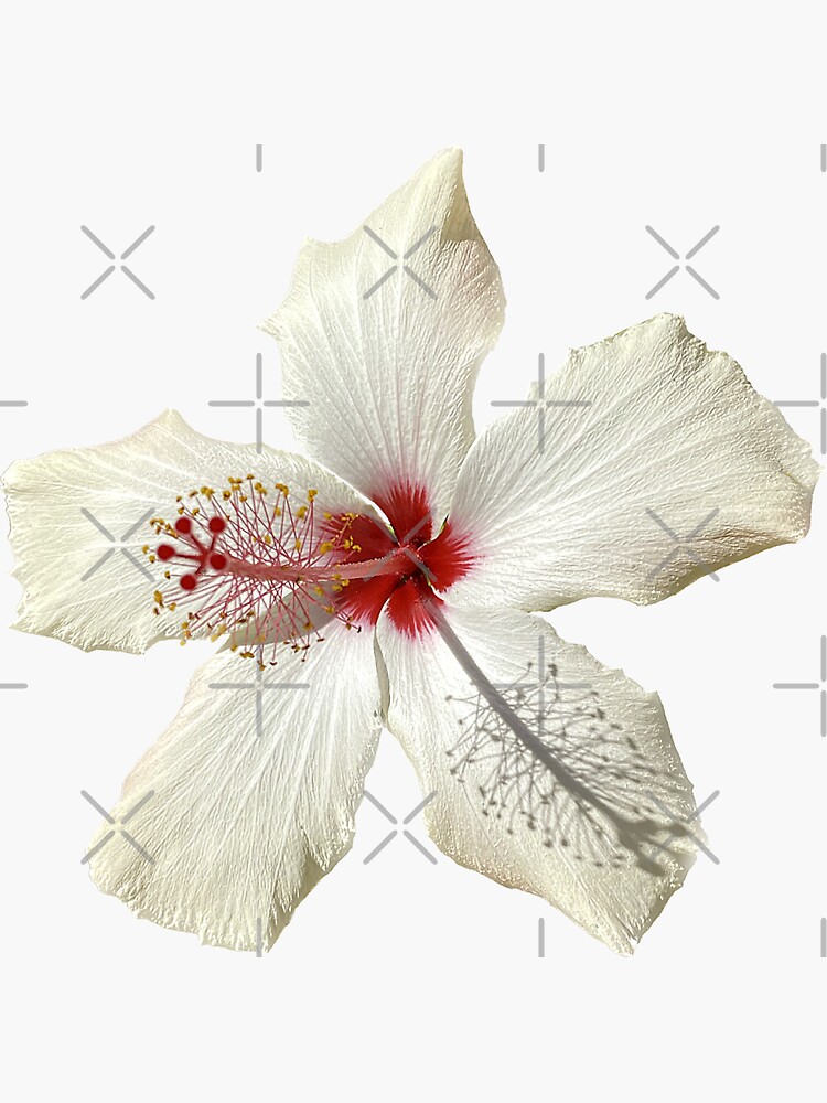 Thumbnail 3 of 3, Sticker, flower 15 designed and sold by mystudiocreate.