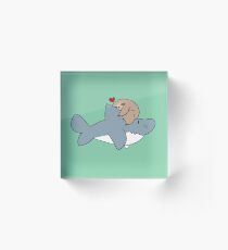 Bloque acrílico Sloth Loves Shark