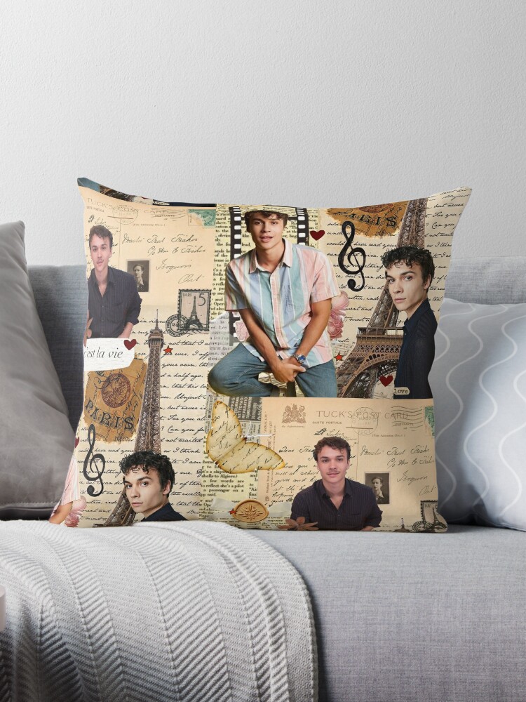 https://ih1.redbubble.net/image.5173270741.8252/throwpillow,large,750x1000-bg,f8f8f8.jpg