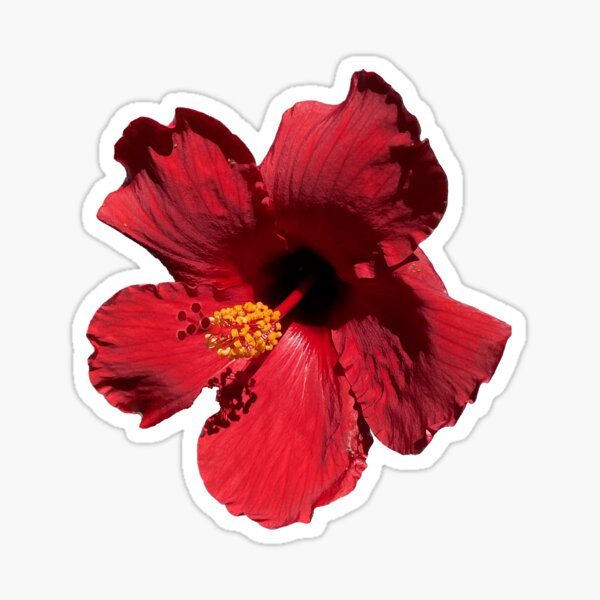Item preview, flower 16 designed and sold by mystudiocreate.