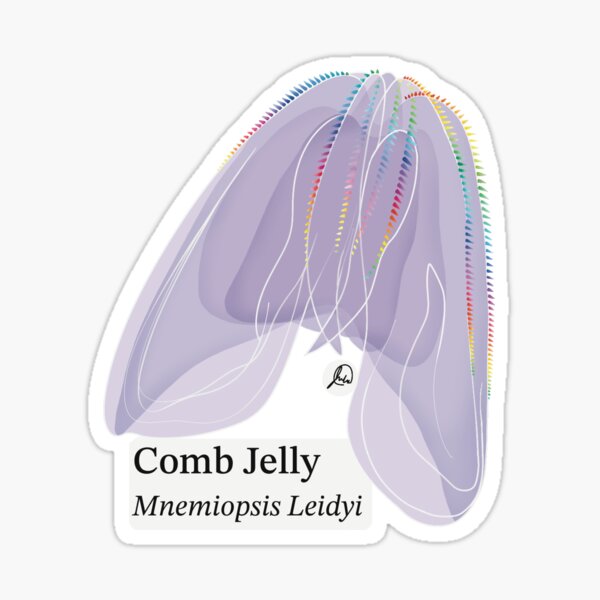 Item preview, Sea Walnut/Comb Jelly (Named) designed and sold by juliag1712.