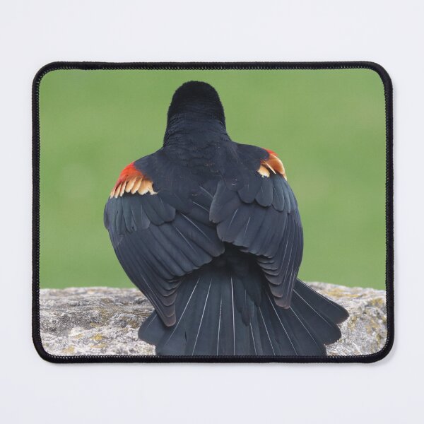 Item preview, An Elegant Red-Winged Blackbird designed and sold by Judy Geller.
