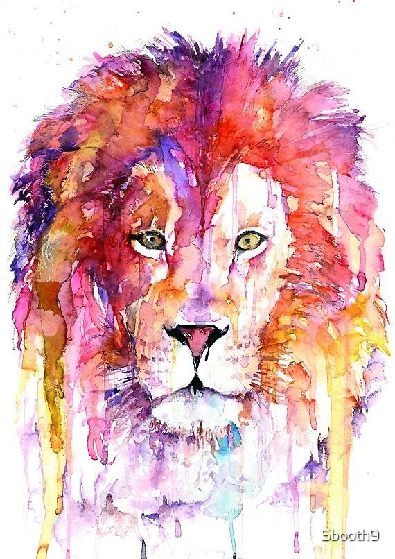 colourful-lion-design-by-sbooth9-redbubble