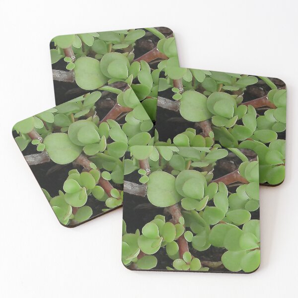 Item preview, African Jade designed and sold by Rjshabazz.