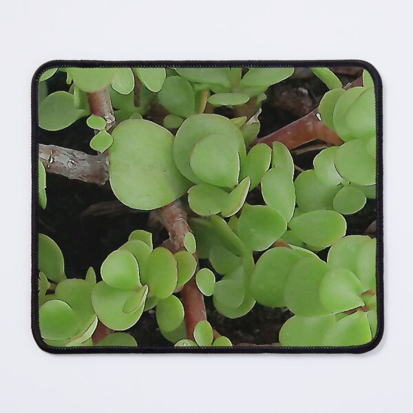 Item preview, African Jade designed and sold by Rjshabazz.