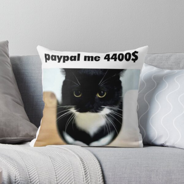 Cat on a on sale pillow