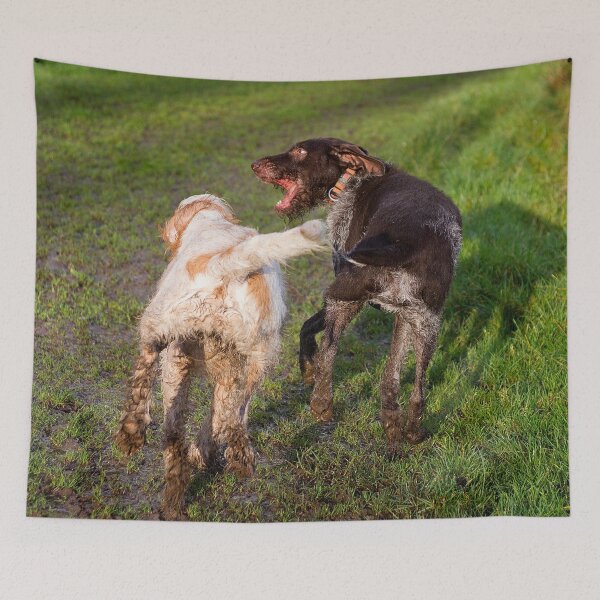 Item preview, You Shall Not Pass Spinone designed and sold by FOLK ART FUSION by heidiannemorris.