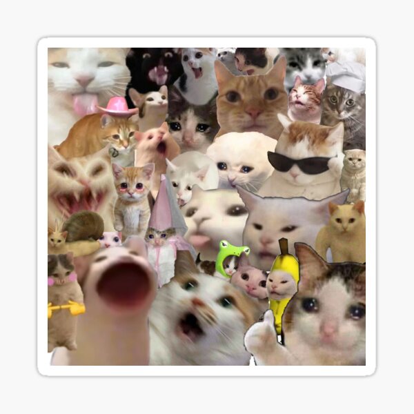 Item preview, Meme cat reaction  designed and sold by Pandabear03.