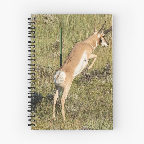 Item preview, Pronghorn Antelope Making A Jump Over A Fence In The Wild designed and sold by FreelanceJim.