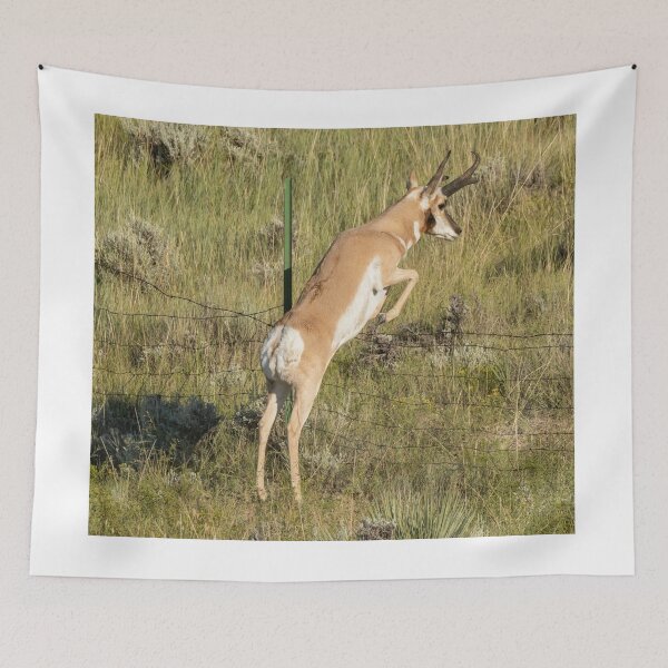 Item preview, Pronghorn Antelope Making A Jump Over A Fence In The Wild designed and sold by FreelanceJim.