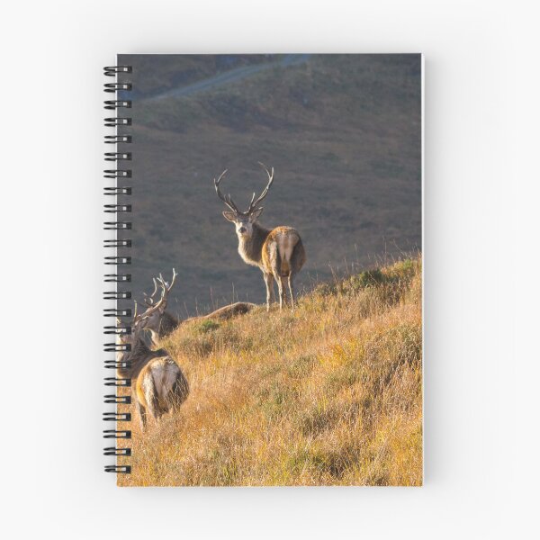 Item preview, Red Deer Stags in the Scottish Highlands designed and sold by emergentdesigns.