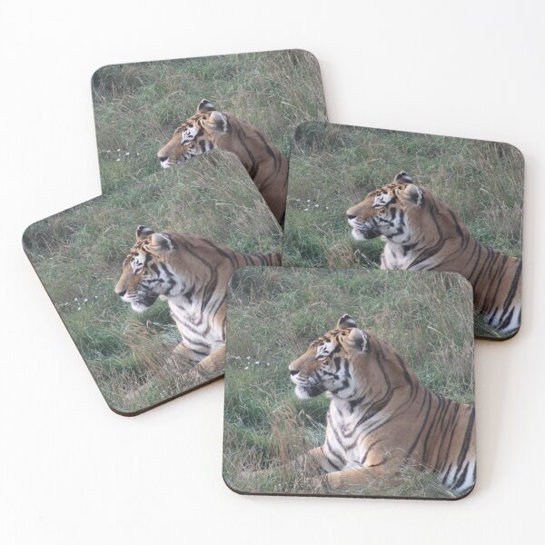 Item preview, Tiger Photo designed and sold by kaylanaiad.