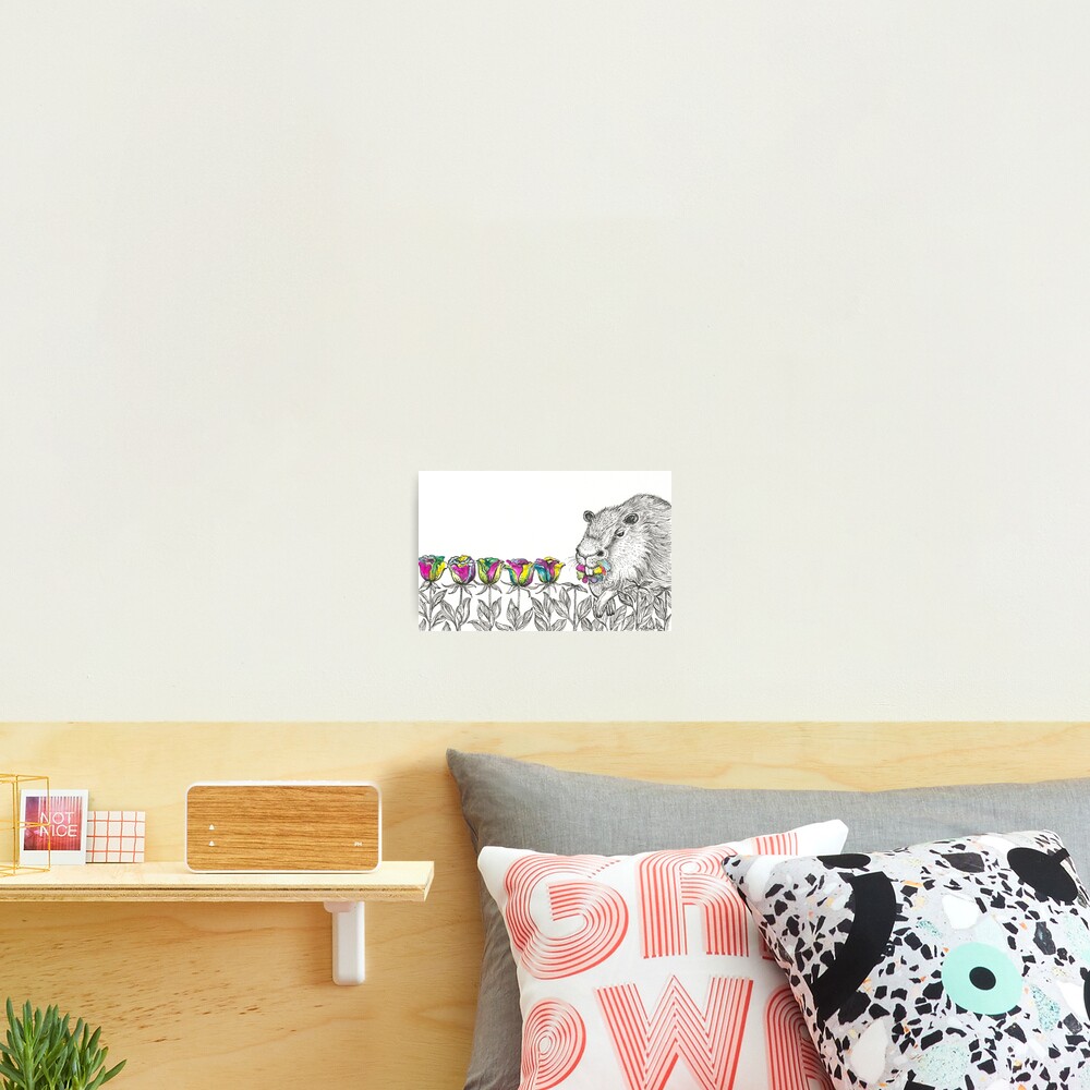 Item preview, Photographic Print designed and sold by StudioLRM.