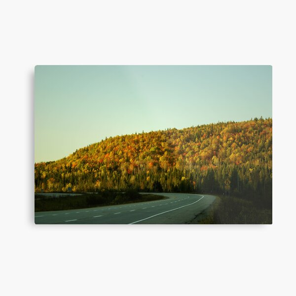 le tournant Metal Print