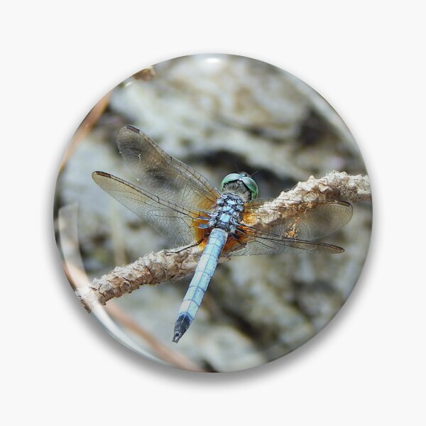 Item preview, Light blue dragonfly on pine twig from above designed and sold by gistinker.