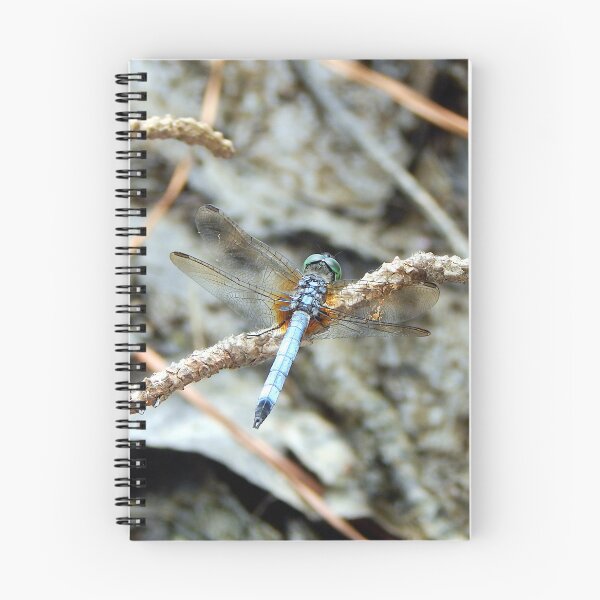 Item preview, Light blue dragonfly on pine twig from above designed and sold by gistinker.