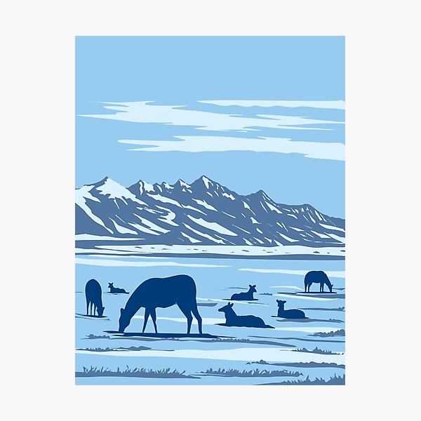Item preview, Wapiti at the National Elk Refuge in Jackson Hole in Wyoming USA WPA Art Poster  designed and sold by patrimonio.
