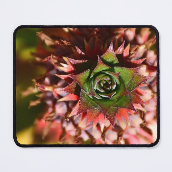 Item preview, A Little Pineapple designed and sold by MercerImages.