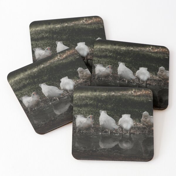 Item preview, Little Corella Bird Art No. 2 designed and sold by SEADOGPRINTS.