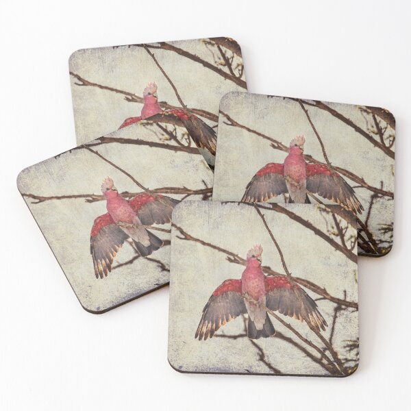 Item preview, Galah Bird Art No 3 designed and sold by SEADOGPRINTS.