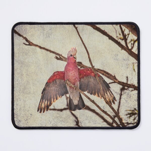 Item preview, Galah Bird Art No 3 designed and sold by SEADOGPRINTS.