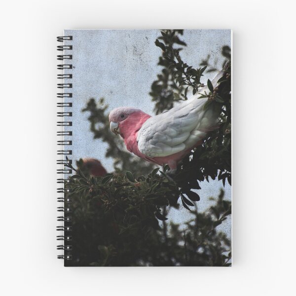 Item preview, Galah Bird Art No 1 designed and sold by SEADOGPRINTS.