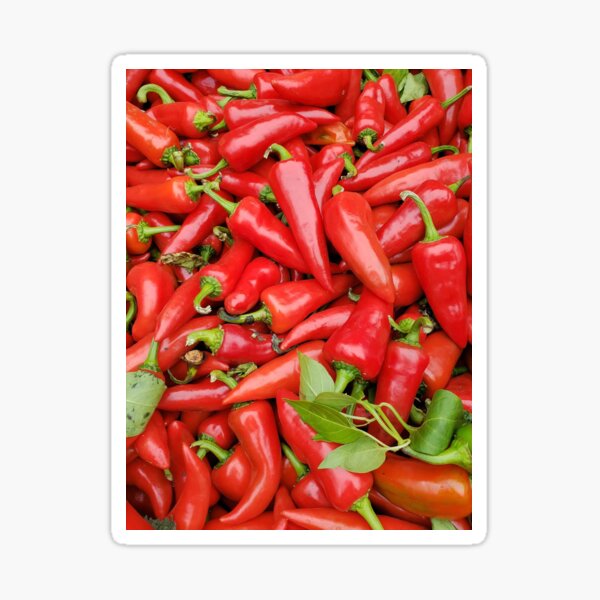 Red Peppers Sticker