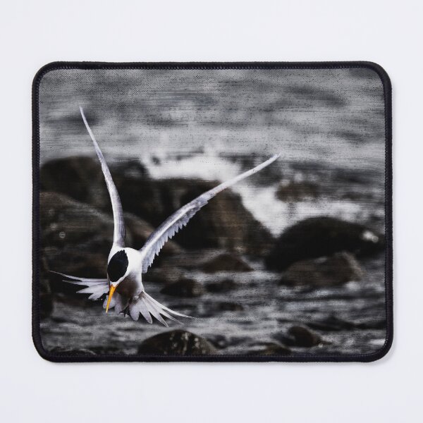 Item preview, Crested Tern Bird Art No 2 designed and sold by SEADOGPRINTS.