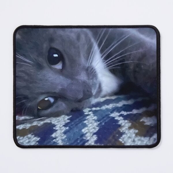 Item preview, Baby Blue designed and sold by ColorShop41.