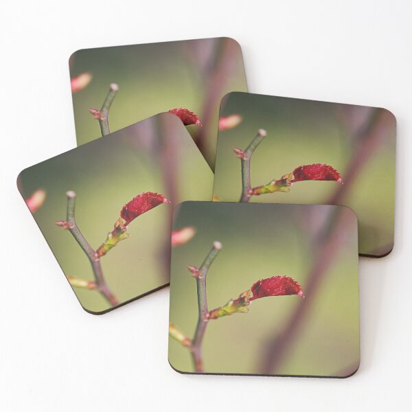 Item preview, The Saw Edge Rose Leaf  designed and sold by Joy Watson - Natural Light Photography .