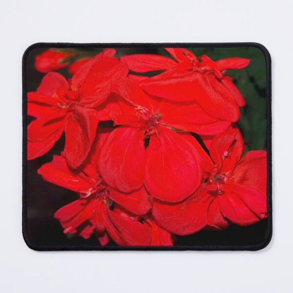 Item preview, Red geraniums against black designed and sold by B. Randi Bailey.