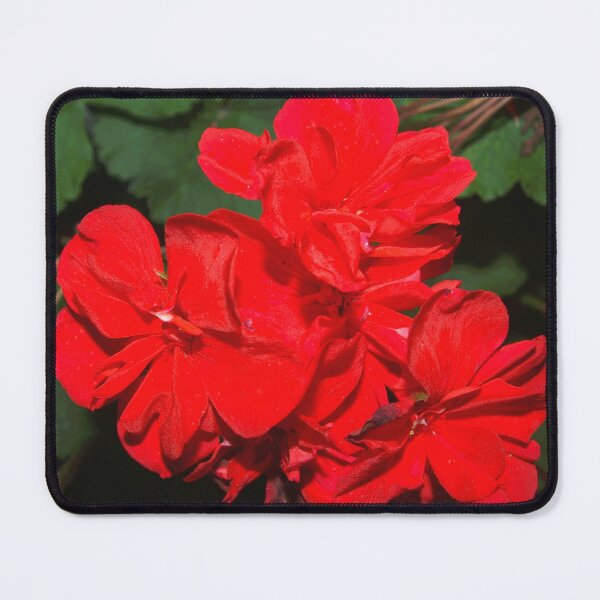 Item preview, Geranium flowers designed and sold by B. Randi Bailey.