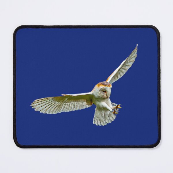 Item preview, Barn Owl about to pounce designed and sold by Dalyndigital Photography.