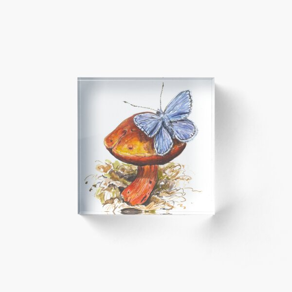 Der blaue Schmetterling Acrylblock