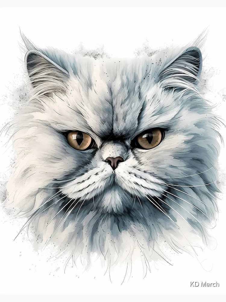 Kuhn duotone print hand colored Persian store cat