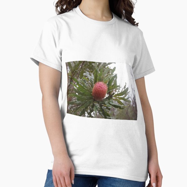 Item preview, Banksia Menziesii At The Karnup Reserve designed and sold by lezvee.
