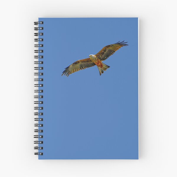 Item preview,  Soaring Red Kite designed and sold by Dalyndigital Photography.