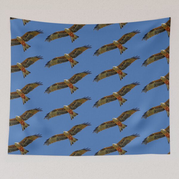 Item preview,  Soaring Red Kite designed and sold by Dalyndigital Photography.