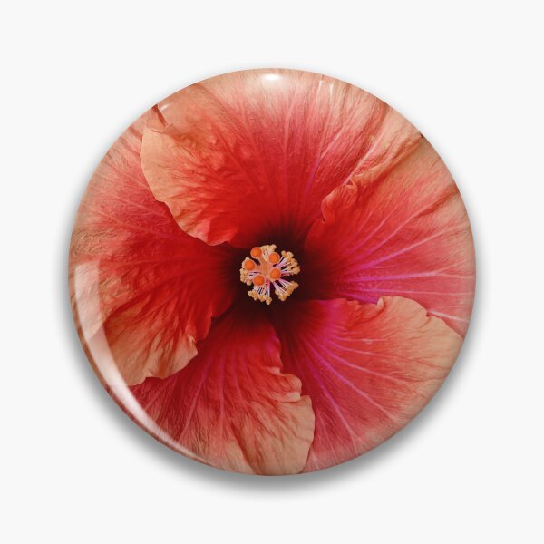 Item preview, rosa-sinensis designed and sold by Mark Grimsley.