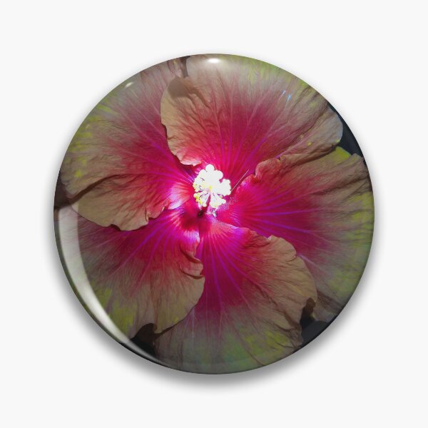 Aperçu de l'œuvre hibiscus rosa-sinensis avec lumière créée et vendue par Mark Grimsley.