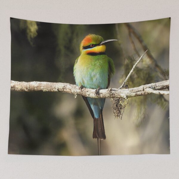 Item preview, Rainbow bee eater  early morning  designed and sold by Mark Grimsley.