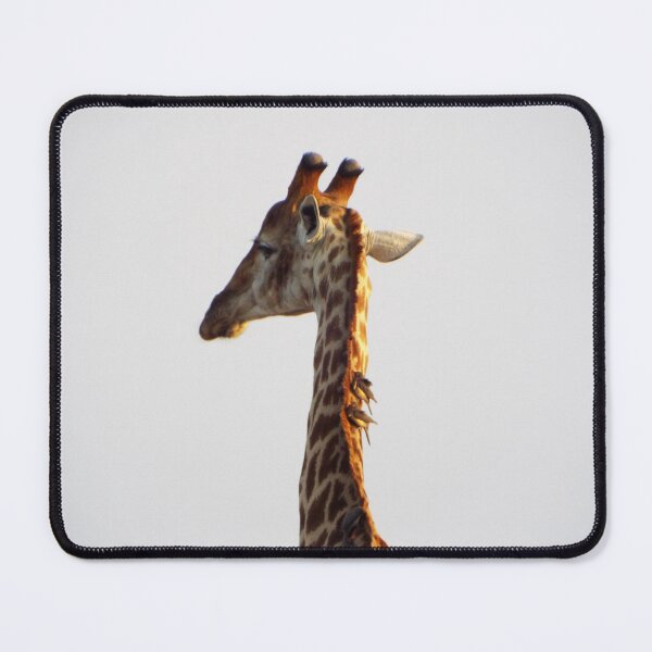 Item preview, Male giraffe and his friends designed and sold by MJPArtworks.