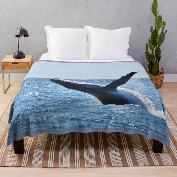 Item preview, Whale watching breach in Hervey Bay designed and sold by Mark Grimsley.